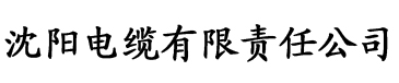 永久四虎影院电缆厂logo